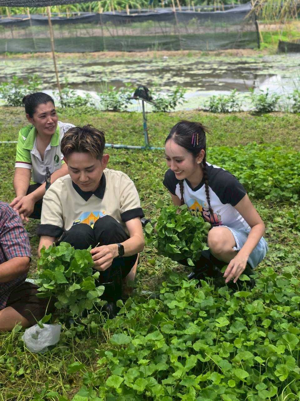 “เอ-แป้ง” บุกชุมชนเกษตรกรบ้านคลองหม่อมแช่ม จ.นนทบุรี ดูแปรรูปพืชท้องถิ่น “ใบบัวบก” สร้างรายได้ใน “มิตรรัก ทั่วไทย”