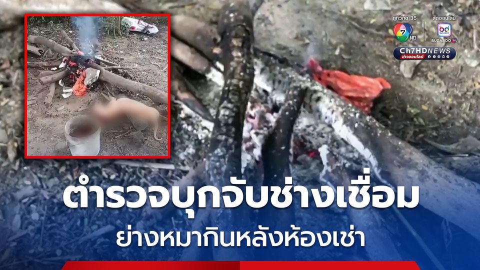 ตำรวจบุกจับช่างเชื่อม ย่างหมาจรจัดกินหลังห้องเช่า