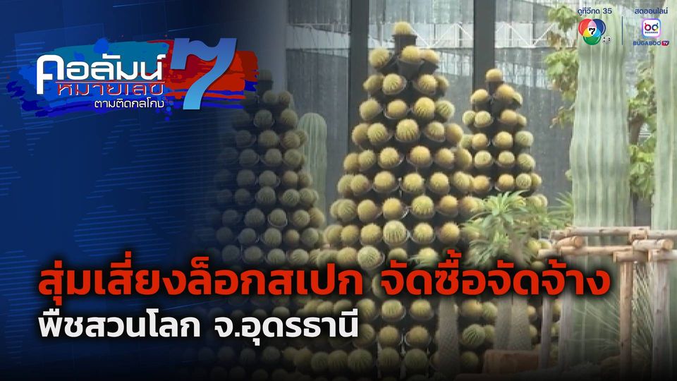 คอลัมน์หมายเลข 7 : สุ่มเสี่ยงล็อกสเปก จัดซื้อจัดจ้าง พืชสวนโลก จ.อุดรธานี