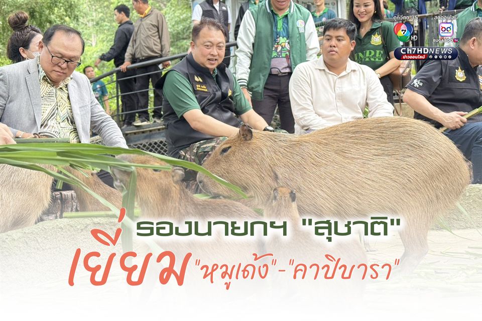 สุชาติ ชมกลิ่น เยี่ยมสวนสัตว์เปิดเขาเขียว จ.ชลบุรี เยี่ยมชม หมูเด้ง ขวัญใจมหาชน