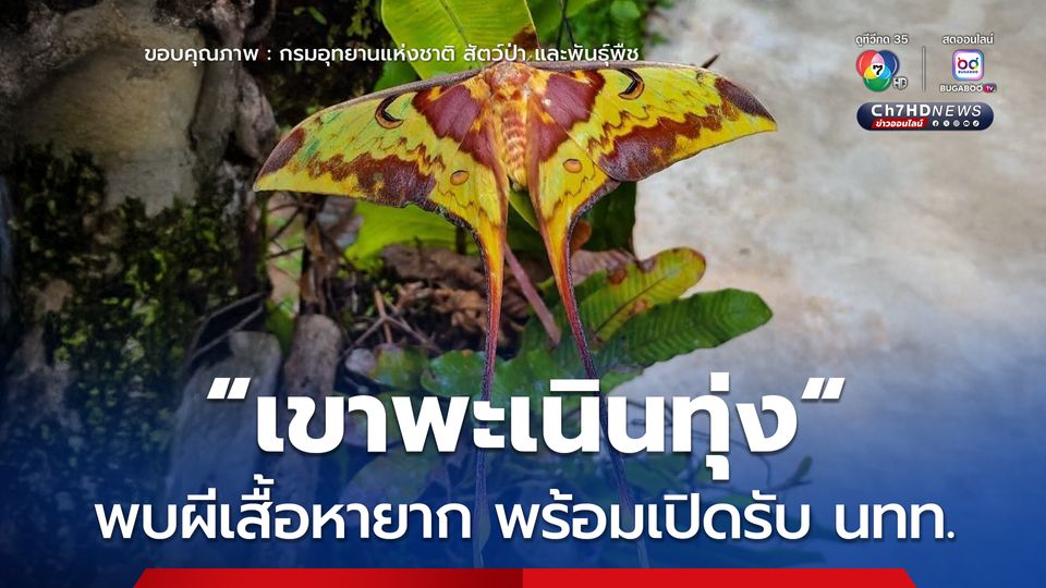 เขาพะเนินทุ่ง อุทยานแห่งชาติแก่งกระจาน พบผีเสื้อหายาก และพร้อมเปิดรับนักท่องเที่ยว 1 พ.ย. นี้