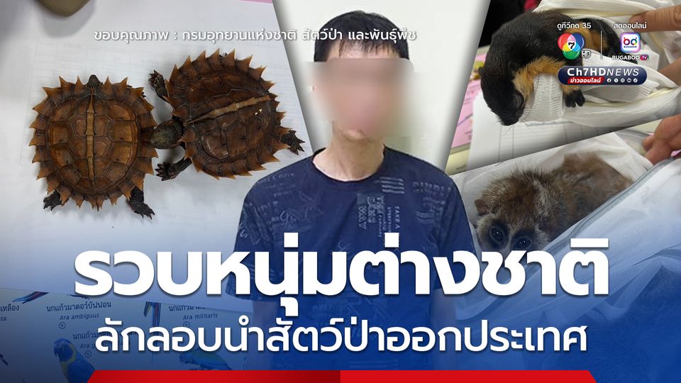 เจ้าหน้าที่ด่านตรวจสัตว์ป่าท่าอากาศยานดอนเมืองรวบหนุ่มต่างชาติ ลักลอบนำสัตว์ป่าจำนวนมากออกประเทศ