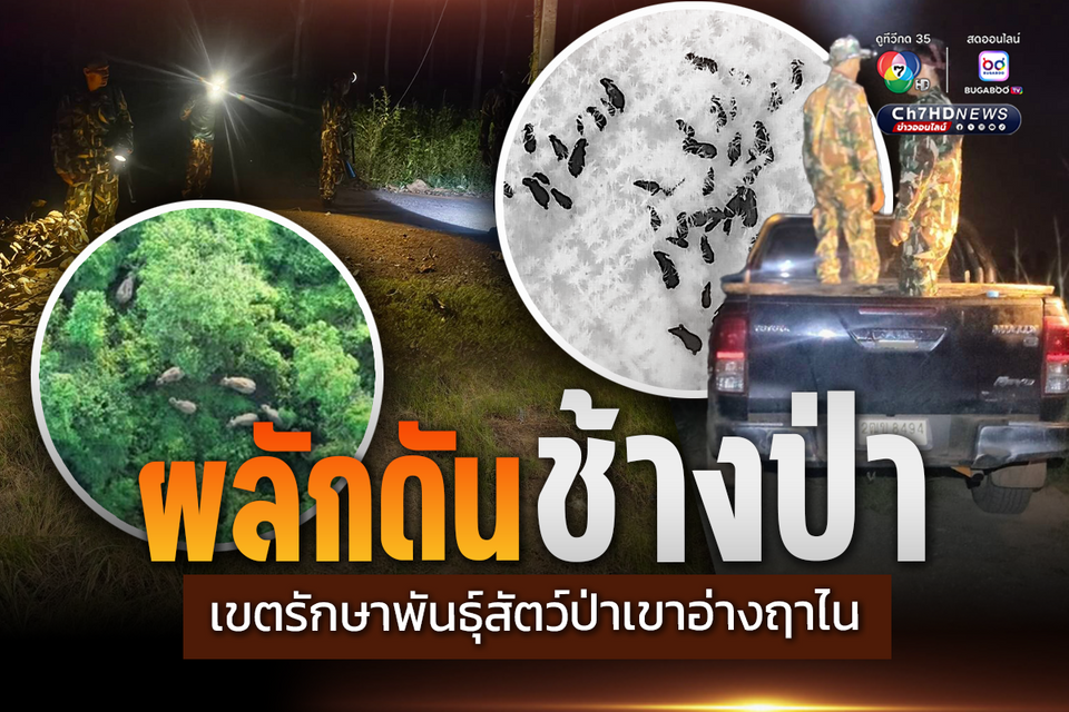 เขตรักษาพันธุ์สัตว์ป่าเขาอ่างฤาไน ลงพื้นที่ผลักดันช้างป่าเฝ้าระวังสถานการณ์ช้างป่าต่อเนื่อง