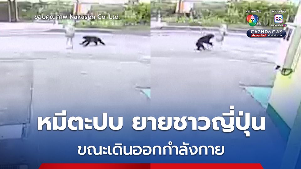 คุณยายชาวญี่ปุ่น อายุ 82 ปี ถูกหมีตะปบขณะเดินออกกำลังกาย