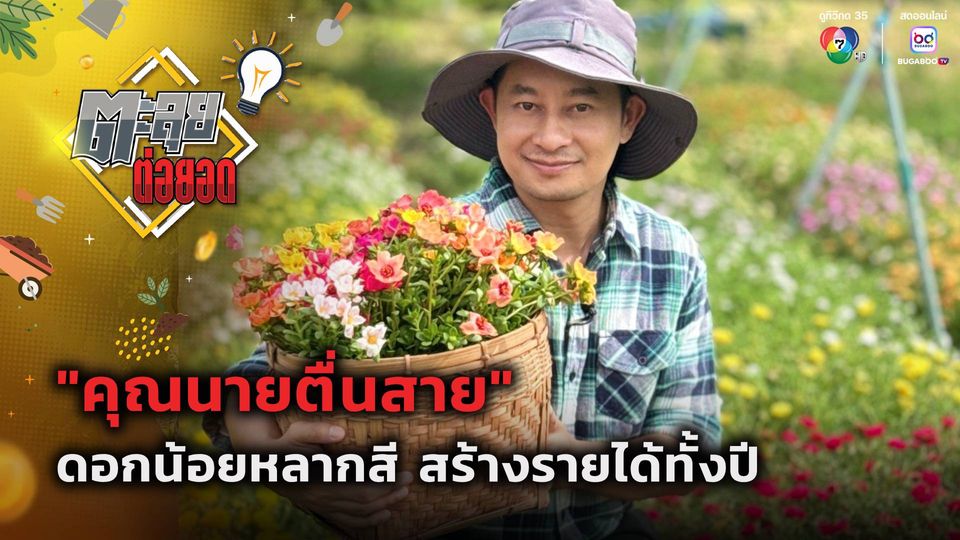ตะลุยต่อยอด : "คุณนายตื่นสาย" ดอกน้อยหลากสี ทำเงิน
