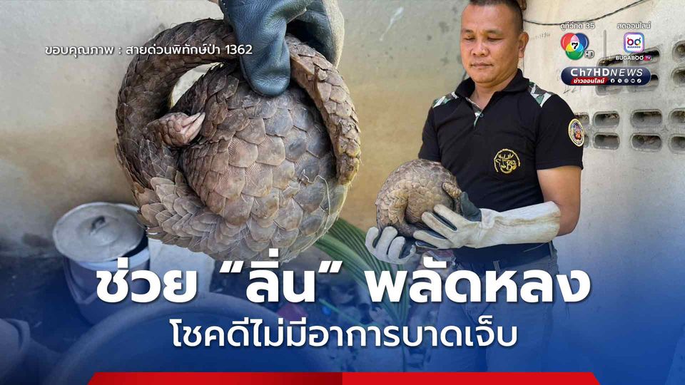 ช่วย “ลิ่น” พลัดหลง โชคดีไม่มีอาการบาดเจ็บ