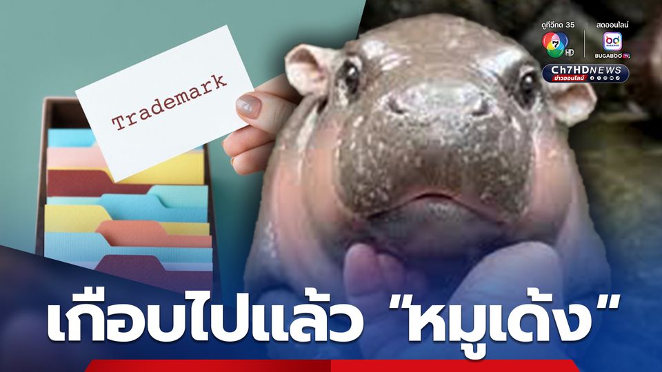 แบรนด์ “Moo Deng” (หมูเด้ง) เกือบโดนเคลมในจีน ยังดีคัดค้านได้ทัน