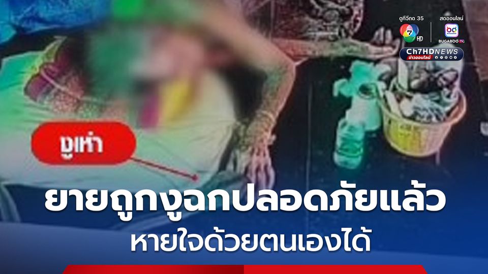 ยายถูกงูเห่าฉกปลอดภัยแล้ว ถอดเครื่องช่วยหายใจและหายใจด้วยตัวเองได้แล้ว