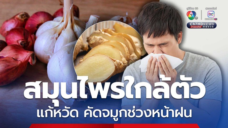 หมอเจดโพสต์แนะสมุนไพรใกล้ตัว แก้หวัด คัดจมูกช่วงหน้าฝน