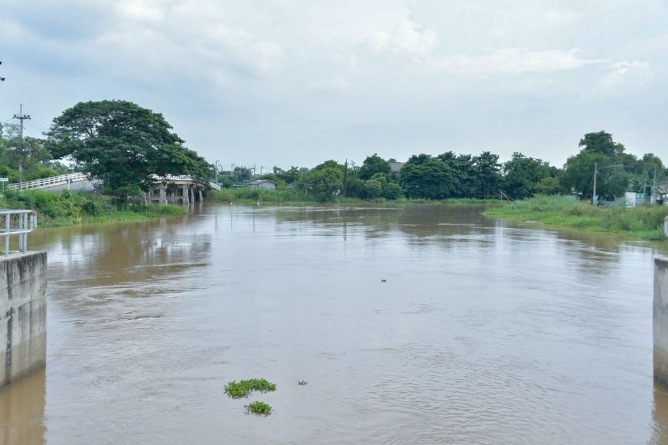 อธิบดีกรมชลฯ นำทีมลุยน้ำอยุธยา สั่งเร่งเคลียร์คลอง วางแผนระบายน้ำเตรียมเพาะปลูกฤดูแล้ง