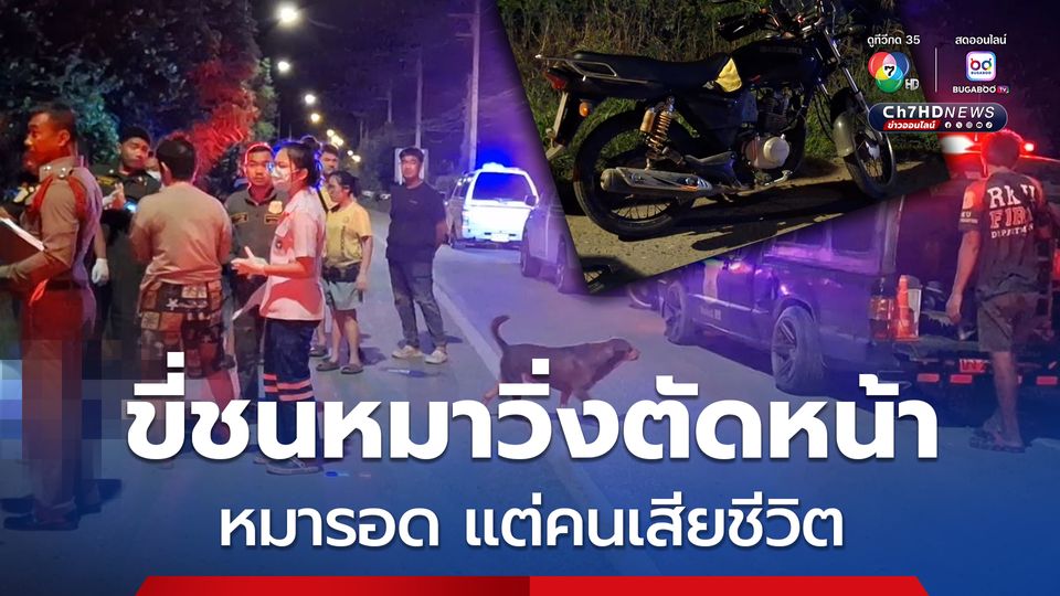 อุบัติเหตุสลด หนุ่มขี่รถ จยย. ชนหมาวิ่งตัดหน้า หมารอด แต่คนเสียชีวิต