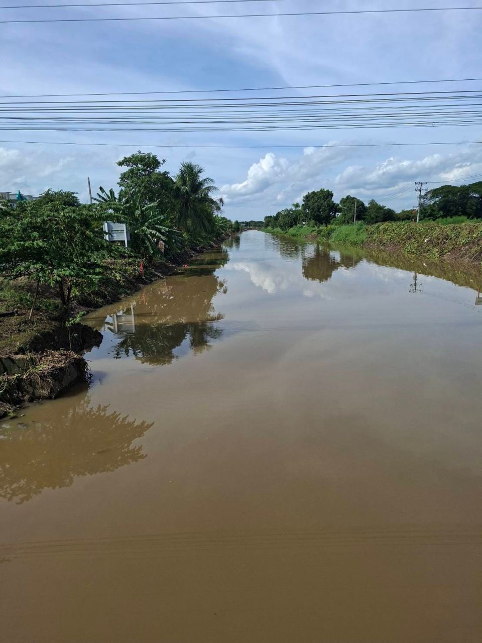 ผักตบ..ต้องกำจัด!!  กรมชลฯ เดินหน้าปฏิบัติการ “คืนคลองใส” เดินหน้ากำจัดผักตบชวาในแหล่งน้ำ