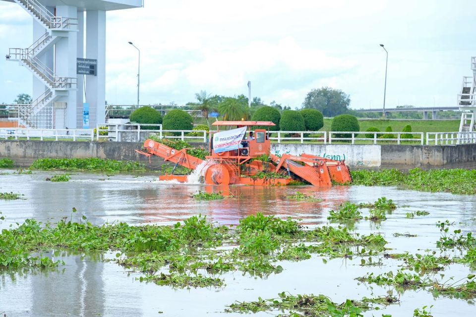 ชป. เตือนภาคใต้รับมือฝนหนัก 23–24 ต.ค. จากอิทธิพลพายุ “เฟิงเฉิน” แม้ไม่เข้าไทยโดยตรง