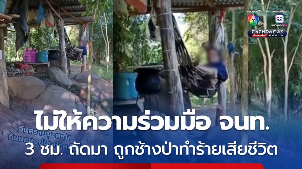 แชร์ว่อน คลิป จนท.อุทยานแห่งชาติภูเวียง เตือนลุงวัย 62 ปี ให้ออกพื้นที่ แต่ไม่ฟัง สุดท้ายถูกช้างป่าทำร้ายเสียชีวิต