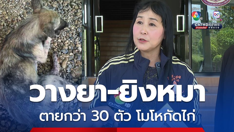 เดอะโฮปสงขลา ร้องต้นสังกัดตรวจสอบ ดาบตำรวจ วางยา-ยิงหมา ตายกว่า 30 ตัว โมโหกัดไก่ที่เลี้ยงไว้ 