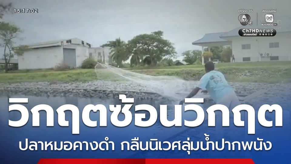 คอลัมน์หมายเลข 7 : วิกฤตซ้อนวิกฤต ปลาหมอคางดำ กลืนนิเวศลุ่มน้ำปากพนัง