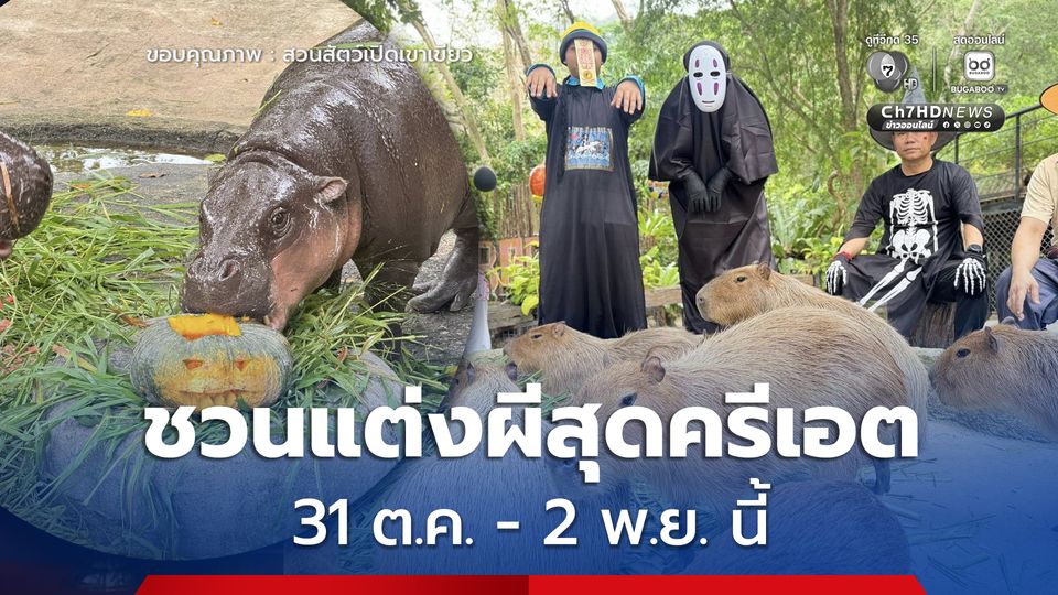 สวนสัตว์เปิดเขาเขียวชวนแต่งผีสุดครีเอต ร่วมสนุก “Zoo Halloween Party” 31 ต.ค. - 2 พ.ย. นี้