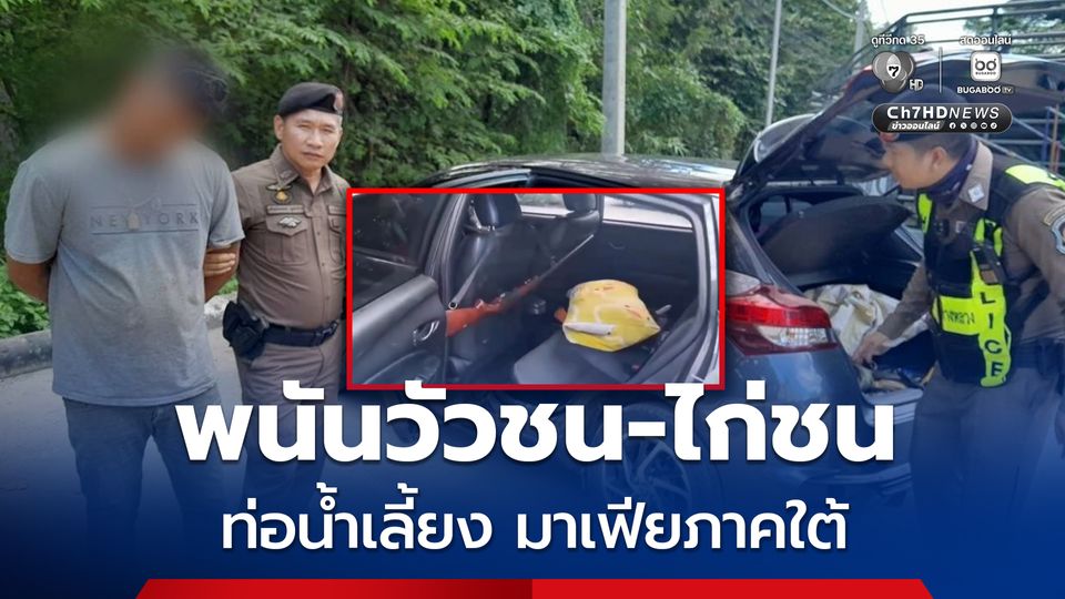 เปิดปฏิบัติการ ตัดท่อเงินเทา มาเฟียระดับตัวเจ้าพ่อภาคใต้