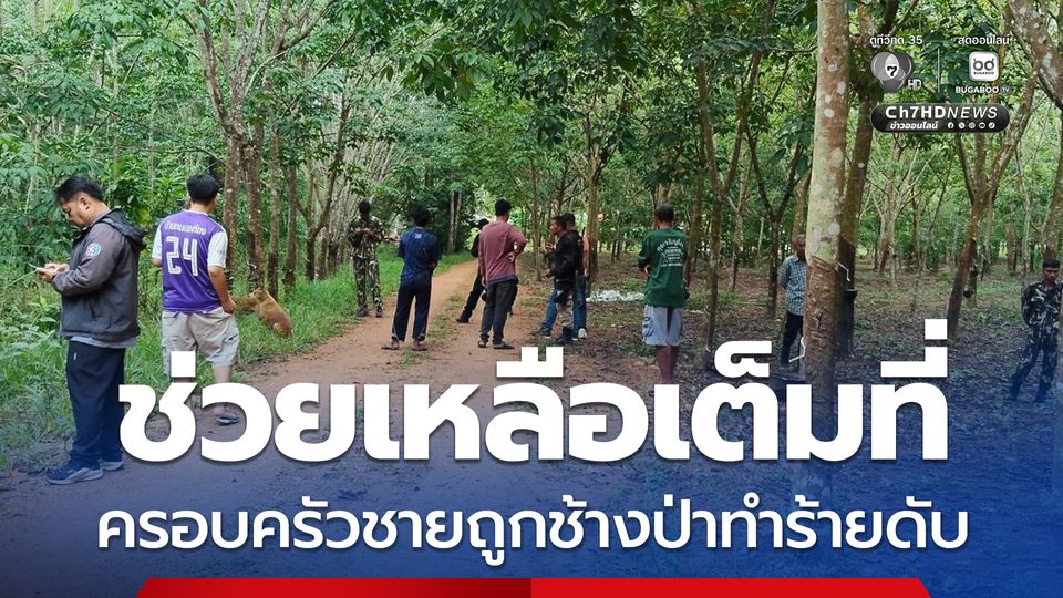 “สุชาติ” สั่งกรมอุทยานฯ ช่วยเหลือครอบครัวชายถูก “ช้างป่า” เขาอ่างฤาไน ทำร้ายจนเสียชีวิต ขณะกรีดยางพารา