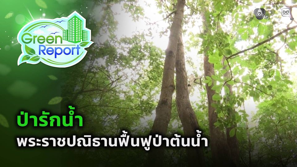 Green Report : ป่ารักน้ำ พระราชปณิธานฟื้นฟูป่าต้นน้ำ