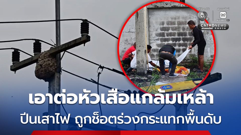 หนุ่มปีนเสาไฟเอาต่อหัวเสือ ถูกไฟช็อตร่วงตกกระแทกพื้นเสียชีวิตคาที่