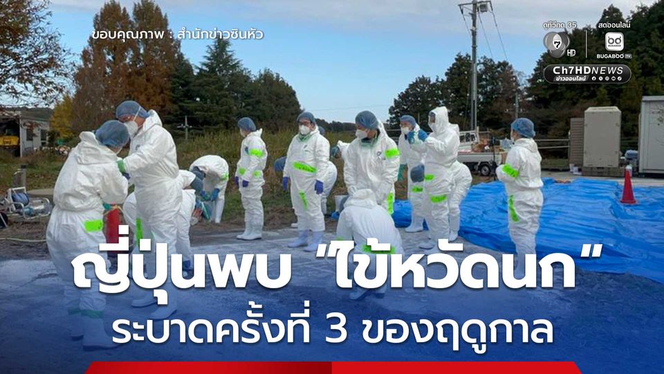 ญี่ปุ่นยืนยันพบ 'ไข้หวัดนก' ระบาดครั้งที่ 3 ของฤดูกาล