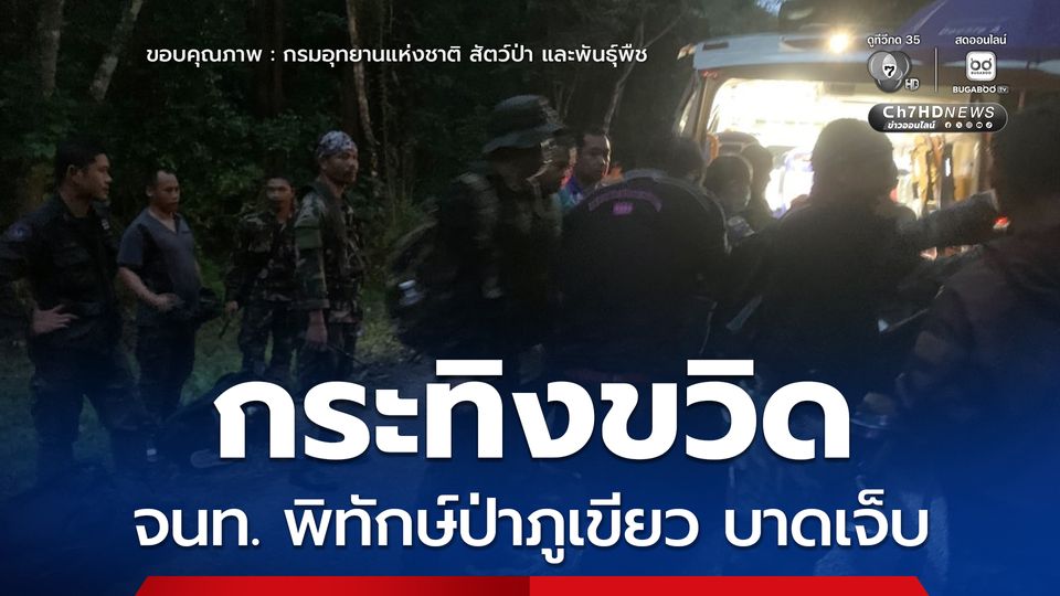 กระทิงขวิดเจ้าหน้าที่พิทักษ์ป่าภูเขียวได้รับบาดเจ็บ ด้านอธิบดีกรมอุทยานฯ สั่งหน่วยงานเข้าดูแลติดตามอาการอย่างใกล้ชิด