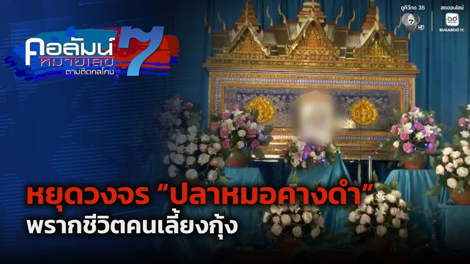 คอลัมน์หมายเลข 7 : หยุดวงจร ปลาหมอคางดำ พรากชีวิตคนเลี้ยงกุ้ง