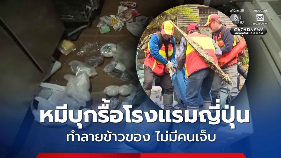 หมีบุกรื้อโรงแรมญี่ปุ่น ทำลายข้าวของ เคราะห์ดีไม่มีคนเจ็บ