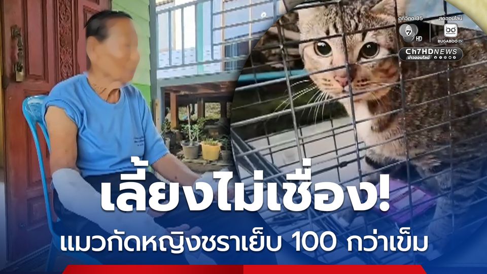 เลี้ยงไม่เชื่อง! แมวกัดหญิงชราเย็บ 100 กว่าเข็ม