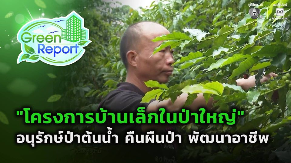 Green Report : อนุรักษ์ป่าต้นน้ำ คืนผืนป่า พัฒนาอาชีพ