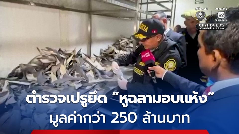 ตำรวจเปรูยึด “หูฉลามอบแห้ง” มูลค่ากว่า 250 ล้านบาท