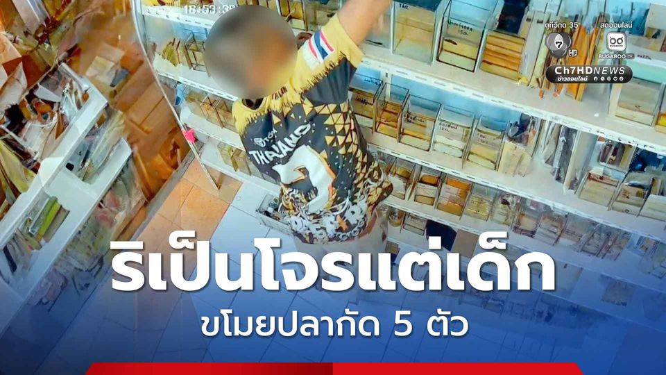 เยาวชนริเป็นโจร ขโมยปลากัด 5 ตัว