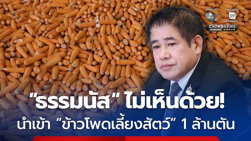 “ครม.” เคาะโควตานำเข้า "ข้าวโพดเลี้ยงสัตว์" จากสหรัฐฯ เพิ่มเป็น 1 ล้านตัน “ธรรมนัส” ไม่เห็นด้วย!