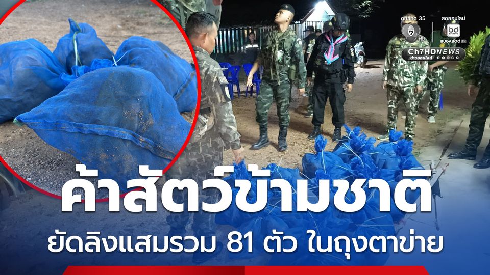 จับขบวนการค้าสัตว์ข้ามชาติ ช่วยลิงแสมรวม 81 ตัว ถูกยัดอยู่ในถุงตาข่าย