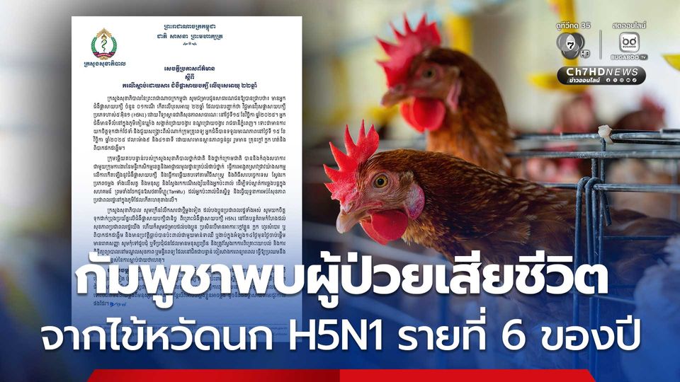 กัมพูชาพบผู้ป่วยไข้หวัดนกสายพันธุ์ H5N1 เสียชีวิตเพิ่ม 1 คน โดยปีนี้มีผู้เสียชีวิตแล้ว 6 คน