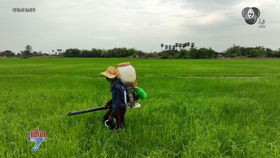 ชาวนาคิดหนัก รัฐปรับเปลี่ยนโซนปลูกข้าว
