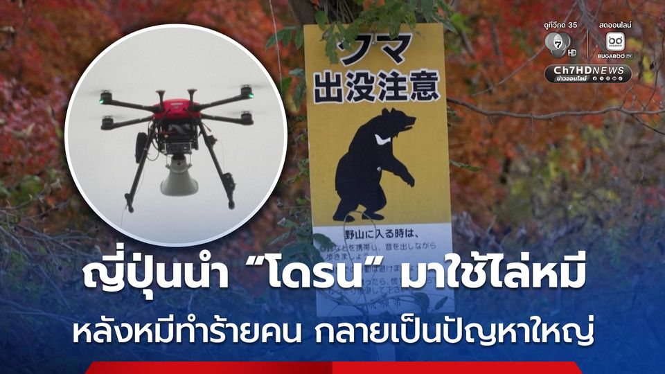 ญี่ปุ่น นำโดรนมาติดลำโพง-เครื่องยิงประทัด เอาไว้ใช้ไล่หมี หลังปัญหา “หมีทำร้ายคน” กลายเป็นปัญหา