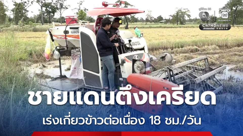 ชายแดนตึงเครียด ชาวนาเร่งเกี่ยวข้าวต่อเนื่อง 18 ชั่วโมง