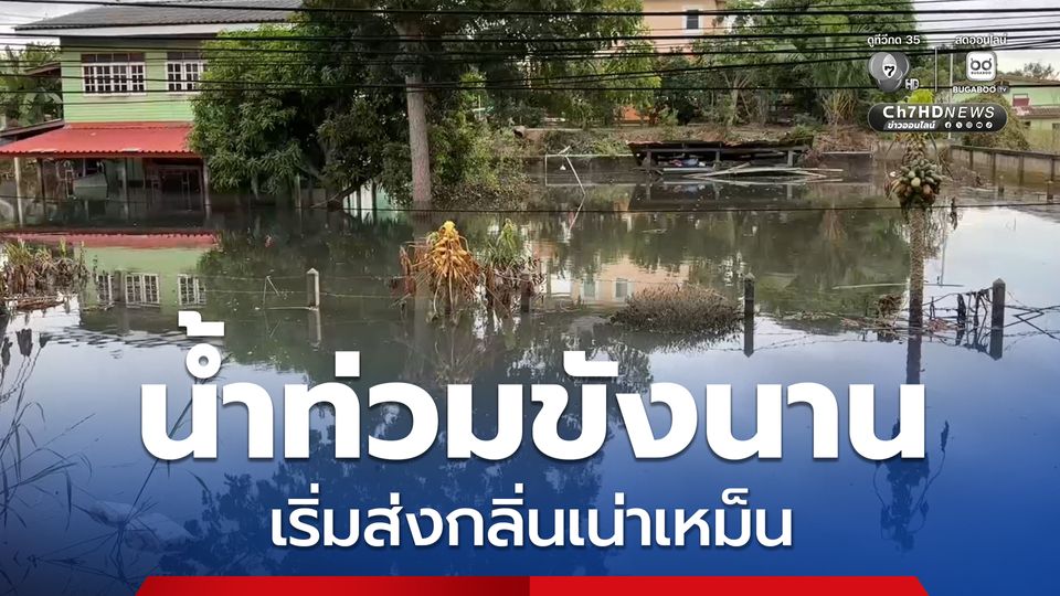 ลุ่มเจ้าพระยาเริ่มมีระดับลดลงอย่างต่อเนื่อง พื้นที่ท้ายเขื่อน ต.หาดอาษา อ.สรรพยา จ.ชัยนาท น้ำเปลี่ยนสี หลังท่วมขังนาน