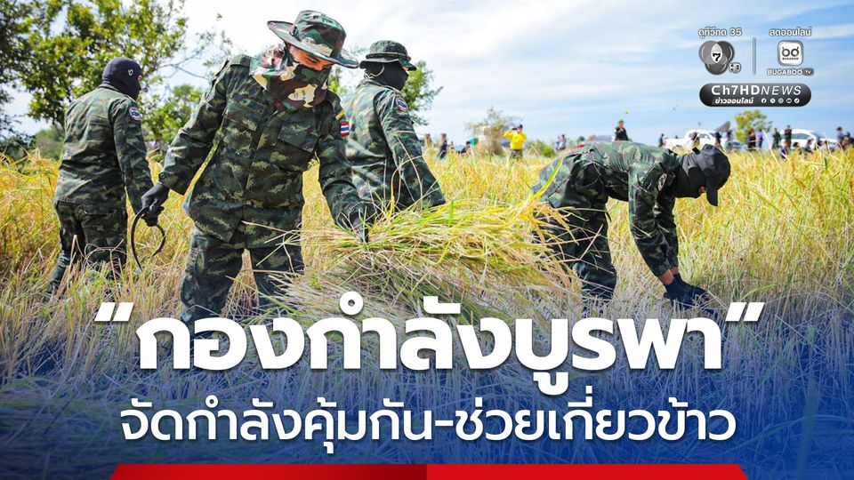 กองกำลังบูรพา จัดกำลังคุ้มกัน-เกี่ยวข้าว ช่วยชาวนาชายแดน