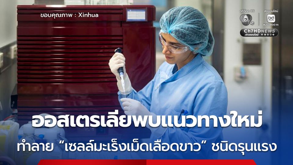 ออสเตรเลีย ค้นพบวิธีใหม่ทำลาย “เซลล์มะเร็งเม็ดเลือดขาว” ชนิดร้ายแรงและรักษายาก 