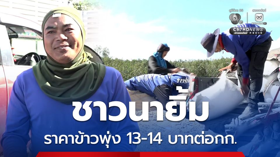 ชาวนาในพื้นที่ชายแดนไทย-กัมพูชา เร่งเก็บเกี่ยวและนำมาขายให้ลานรับซื้อ เพื่อเตรียมความพร้อมหากมีเหตุปะทะครั้งที่สอง   