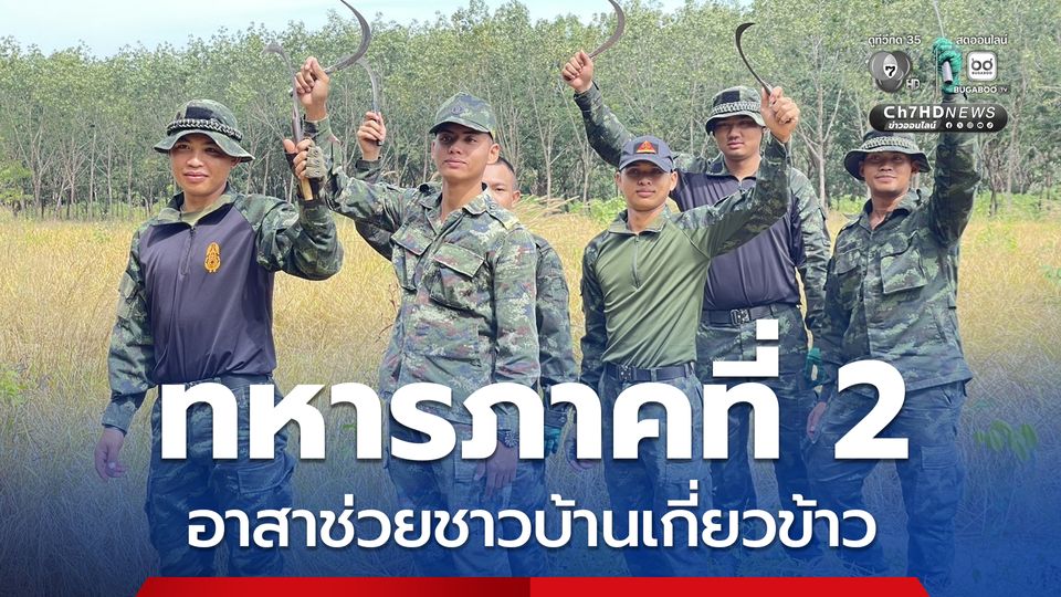 รถเกี่ยวไม่กล้า ทหารภาคที่ 2 อาสาช่วยชาวบ้านเกี่ยวข้าว ใกล้กับปราสาทตาควายเพียง 2 กม.  