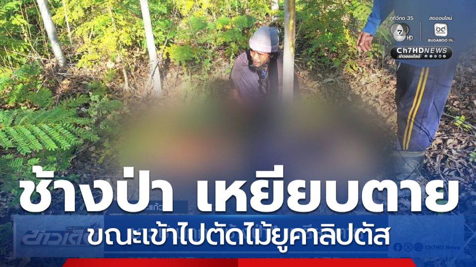 ชาวบ้านถูก ช้างป่า เหยียบตาย