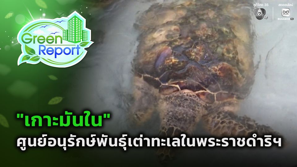 Green Report : เกาะมันใน ศูนย์อนุรักษ์พันธุ์เต่าทะเลในพระราชดำริฯ