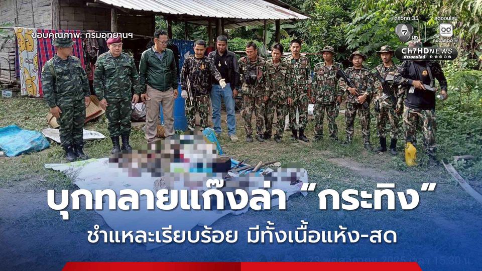 บุกทลายแก๊งล่า “กระทิง” ในแก่งกระจาน ยึดปลอกกระสุนปืนใหญ่ .44 แมกนัม, ซากกระทิง เผยนายทุนต่างถิ่นอยู่เบื้องหลัง