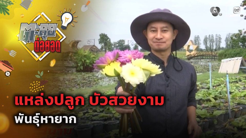 ตะลุยต่อยอด : แหล่งปลูก บัวสวยงาม พันธุ์หายาก