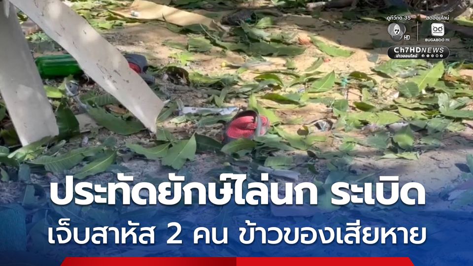 หญิงรับจ้างใส่สายชนวนลูกก้องประทัดยักษ์ไล่นก เกิดระเบิดเสียงดังไปไกลบาดเจ็บสาหัส 2 คน