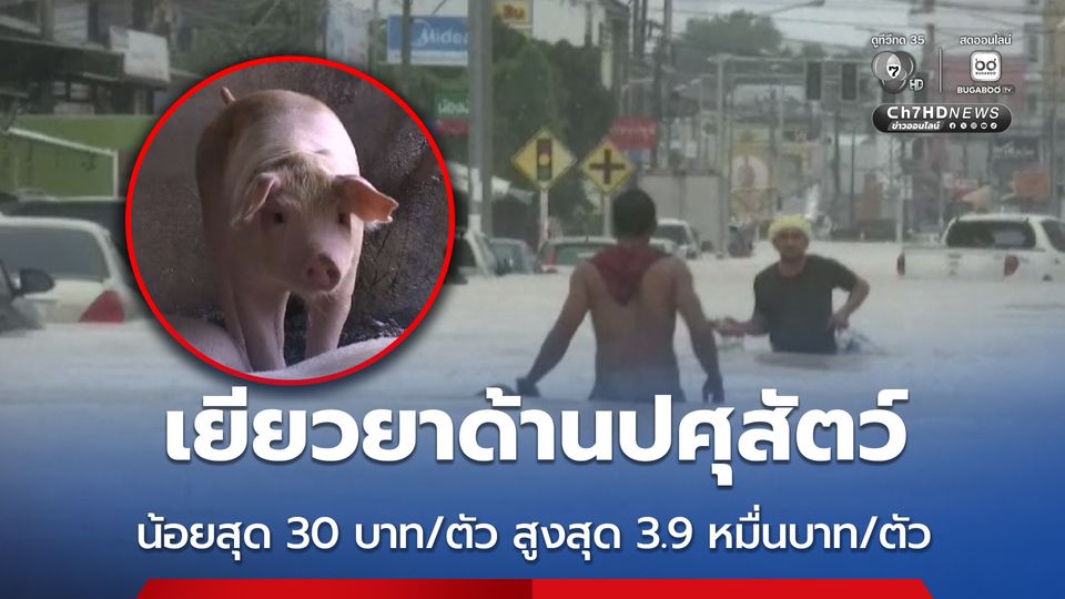 เปิดหลักเกณฑ์ เยียวยาด้านปศุสัตว์ น้อยสุด 30 บาท/ตัว สูงสุด 3.9 หมื่นบาท/ตัว